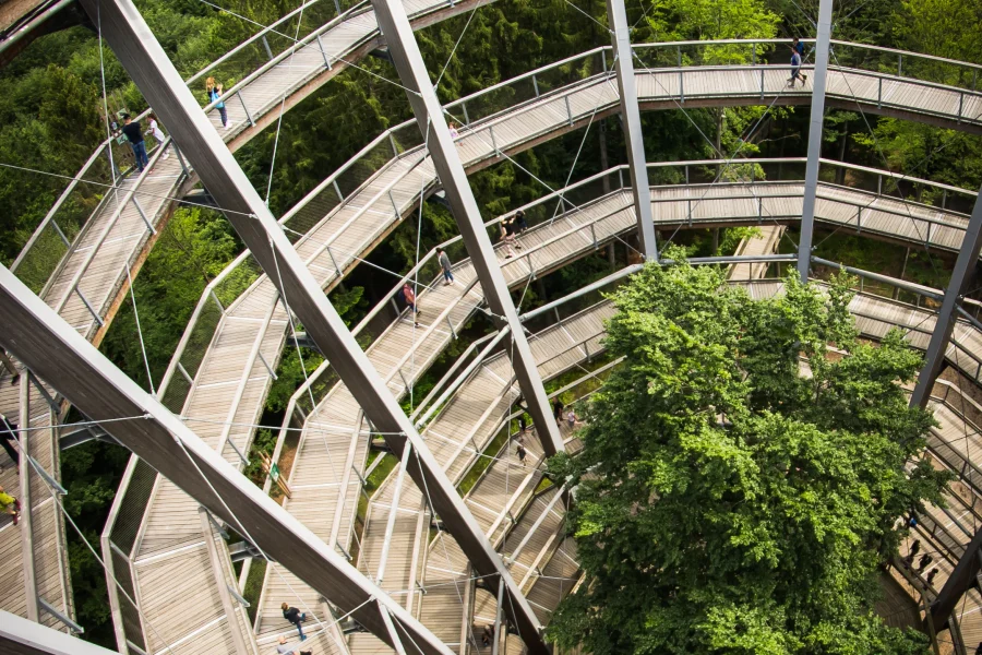 The Steigerwald treetop trail